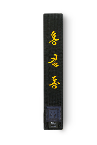 Fighter Black Belt