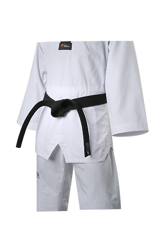 Fighter Black Belt